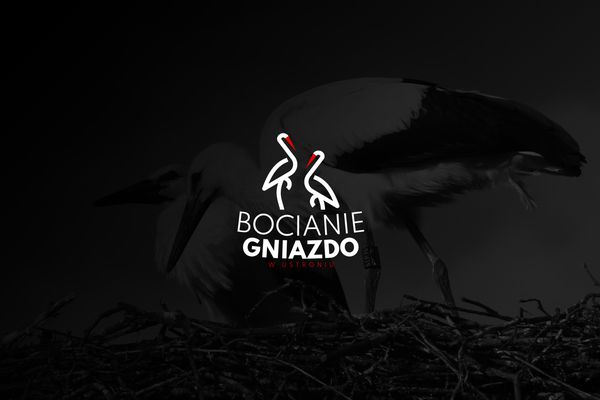 Bocianie Gniazdo – Logo dla obiektu Bocianie Gniazdo w Ustroniu